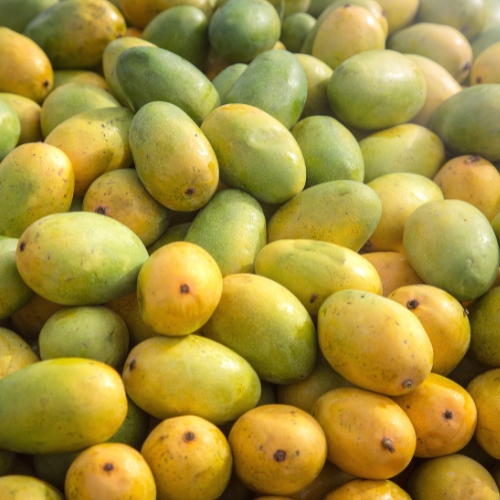 mangoes-11