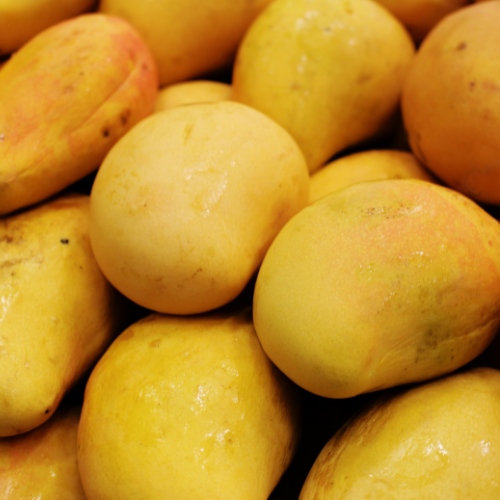 mangoes-2