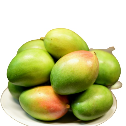 mangoes-4
