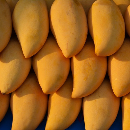 mangoes-8